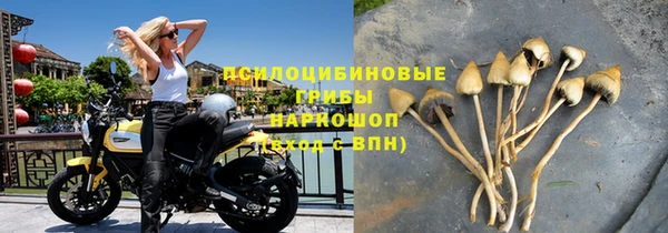 прущий лед Армянск