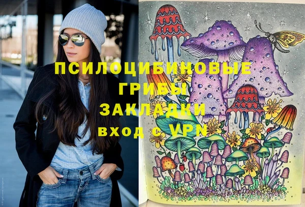 прущий лед Армянск