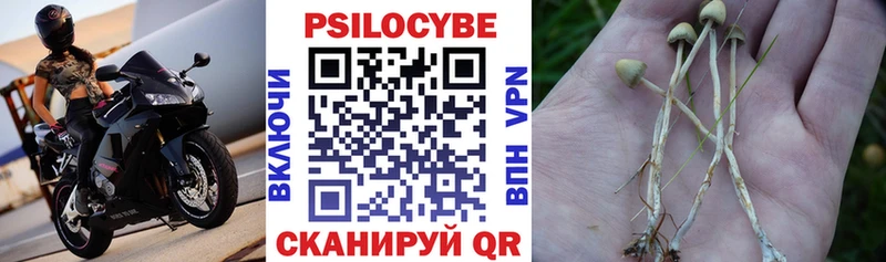 Купить  Фокино  Псилоцибиновые грибы мухоморы 
